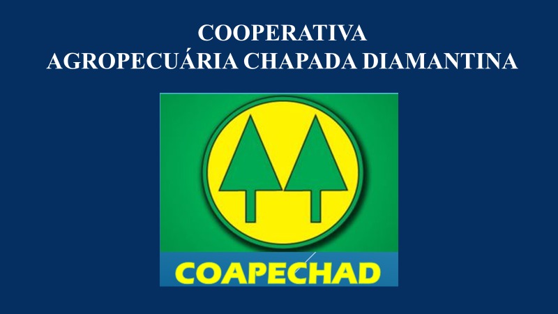 Coapechad - Cooperativa Agropecuaria Da Chapada Diamantina